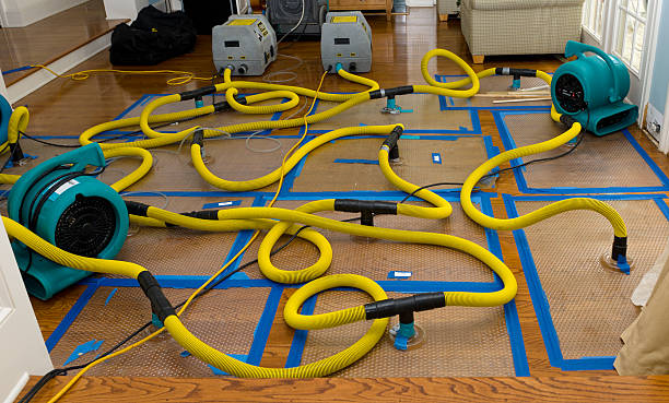 Professional Water Extraction technician working in Deford, MI
